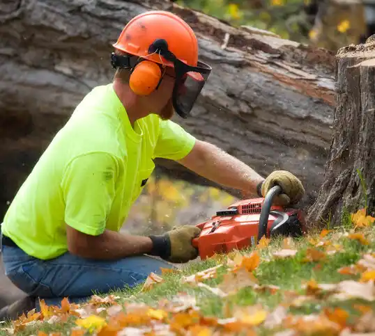 tree services Potosi